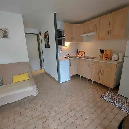 Apartment Lumineux Avec Piscine, Parking Et Loggia Au Grau D'agde - Fr-1-423-310 *