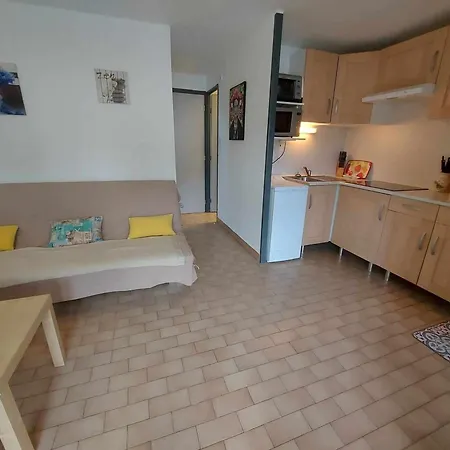 Lumineux Avec Piscine, Parking Et Loggia Au Grau D'agde - Fr-1-423-310 *