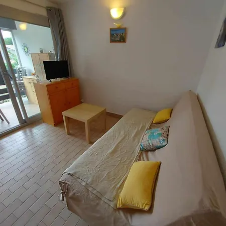 Lumineux Avec Piscine, Parking Et Loggia Au Grau D'agde - Fr-1-423-310 * Le Grau-d'Agde